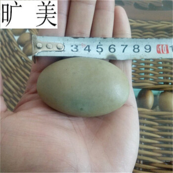 夜明珠原石天然夜光石夜光石原石光奇石 长度6.5-7厘米