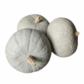 新疆板栗南瓜 贝贝南瓜 伊犁银栗小南瓜 贵族南瓜 金丝板栗味宝宝辅食