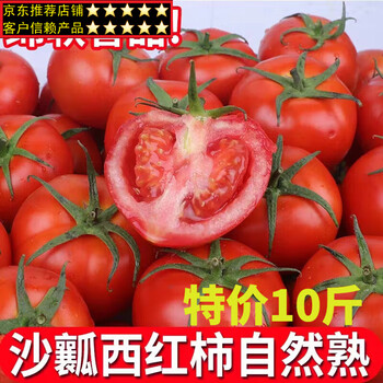 富润世新鲜普罗旺斯西红柿5斤带箱番茄现摘应季新鲜水果蔬菜生吃现摘5