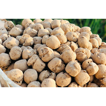 虎钢馋山西特产土炒馍3斤垣曲炒琪土炒面豆棋子豆河南炒指脾墩健康