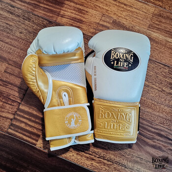 阿瓦雷兹noboxingnolife品牌马毛乳胶拳套泰拳散打拳击手套成人男专业