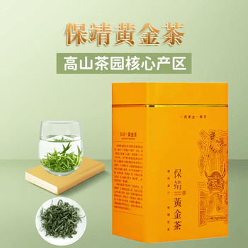 保靖原产地直发雨前黄金茶125g