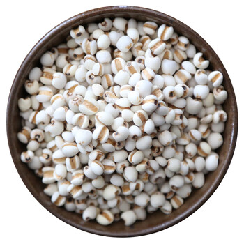 隽辰堂2023年新米黑龙江农家精选小薏米仁薏米天然薏仁米苡米仁500g