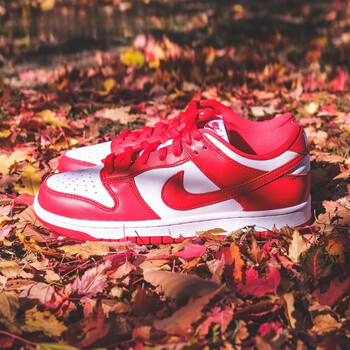 耐克nikedunksblow大学红白红低帮滑板鞋cu1727100cu172710036