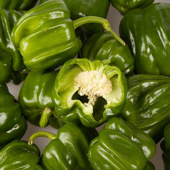 溪味道辽宁麻椒4斤东北薄皮辣椒青圆椒麻辣味 薄皮麻辣椒4斤