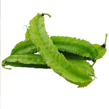 绿企lvqi海南豆角四棱豆四角豆龙角豆鲜整箱四角豆角2斤