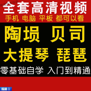 陶埙教学视频教程贝司大提琴琵琶零基础初学入门自学识谱培训课程 陶埙视频教程