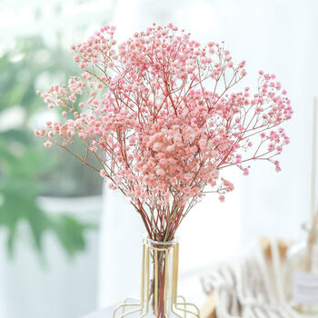 粉永生满天星花束 无瓶 干花包