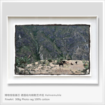 Tockus 新美式轻奢卧室画书房挂画摄影艺术画 现代极简客厅风景装饰画 工业风玄关挂画餐厅装饰画 308g亚光自然白摄影纯棉 A款 60*80cm A1