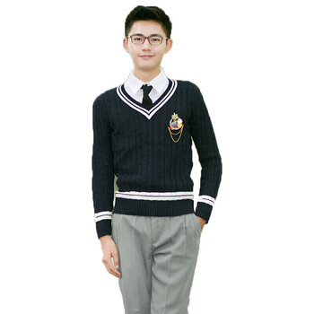 学院风校服毛衣套装秋冬季制服高中学生服 男款1 s