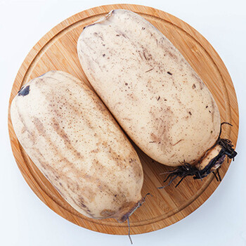 嘉鱼莲藕 莲藕 2.5kg_ 9折现价37元