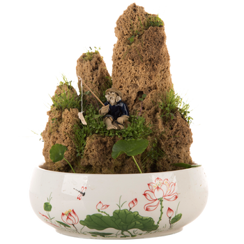 上水石吸水石假山盆景摆件小石头微景观水培盆栽装饰品园艺15 厘米无盆套装 图片价格品牌报价 京东