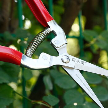 葡萄剪刀疏花剪稀果剪采摘剪手剪摘果剪疏果剪长嘴盆景修枝剪 宽嘴