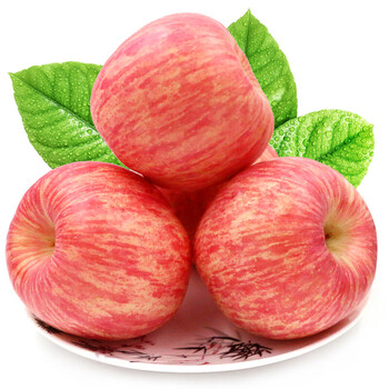 康顿 苹果 平安果 烟台红富士 圣诞苹果 条纹苹果2.5kg 中果80