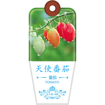北京东升种业（DS）蔬菜种子西红柿天使番茄种子四季蔬菜 家庭阳台 庭院种植80粒/袋