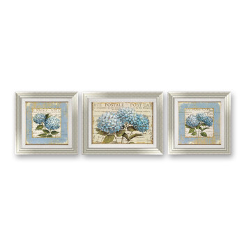 
                                        七彩亿丽 简欧客厅装饰画 三联画卧室床头壁画 花卉油画沙发墙画 餐厅有框画酒店会所S157 婵娟一套3联价格 50*50                