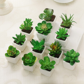 创意多肉仿真植物盆栽客厅桌面 假花绿色植物迷你小盆栽盆景摆件 03