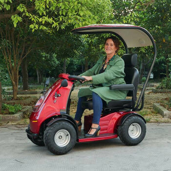 威之群(wisking) 电动代步车四轮两人座 4032成人接送孩子带棚智能