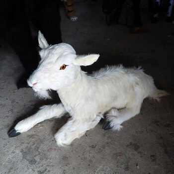 仿真动物山羊模型真皮毛纯手工奶山羊标本工艺品展厅摆件三羊开泰 卧