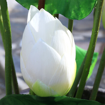 佛堂供佛荷花水池装饰塑料花植物 单支白色花苞