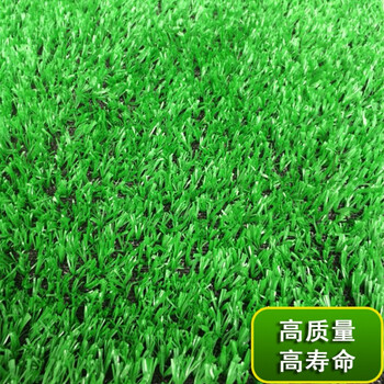 沃绣彩妮园艺人造仿真草坪地毯幼儿园草坪婚礼展览运动草坪人工塑料假草皮批发草坪专用胶15kg 图片价格品牌报价 京东
