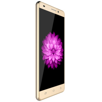 爱我（LOVME）魅影T5 Plus 移动4G智能手机 蓝宝石金属版 双卡双待 铂光金