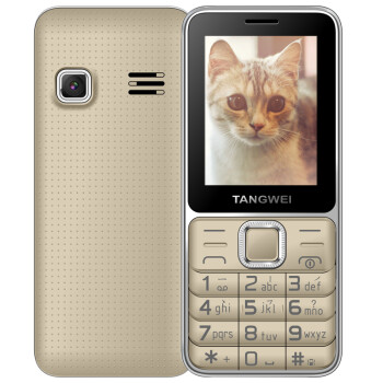 唐为(TANGWEI)TW98C+ 电信2G 老人手机 金色