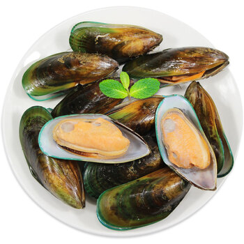 冰天冻地 新西兰全壳青口贝贻贝海鲜烧烤 1000g 袋装