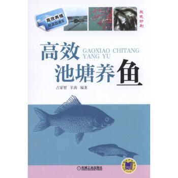 池塘养鱼 养鱼技术大全 鱼病防治与池塘管理教程 健康水产养殖教材 淡水鱼养鱼书籍