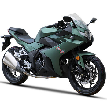 跑车 r1机车250cc 摩托跑车 成人街跑 摩托跑车 可上牌 枭风8号绿色