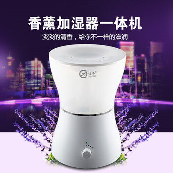 
                                        浩奇 空气香薰机办公室家用静音大容量加湿器 白色                