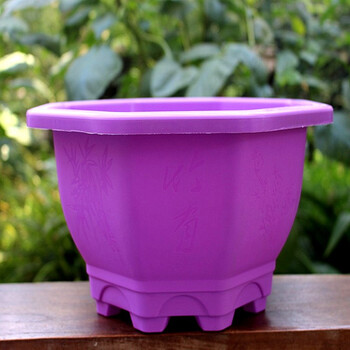 花盆颜色风水_风水花盆颜色怎么选_花盆颜色禁忌