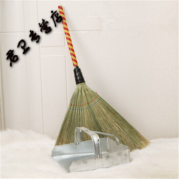 扫把簸箕套装扫帚簸箕笤帚垃圾铲铁戳子 簸箕 咕咕草