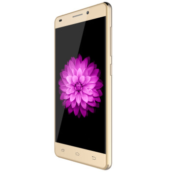 爱我（LOVME）魅影T5 Plus 移动4G智能手机 蓝宝石金属版 双卡双待 铂光金