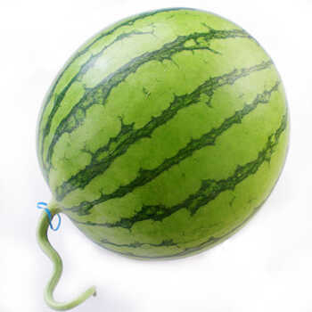 【佳利麦】精选雄县蜜童西瓜1个 重4斤左右 麒麟瓜 红玉西瓜 新鲜水果