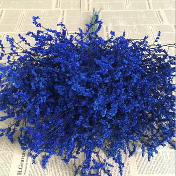 干花花束风干云南鲜花批发勿忘我真花客厅插花装饰花情人草满天星 深