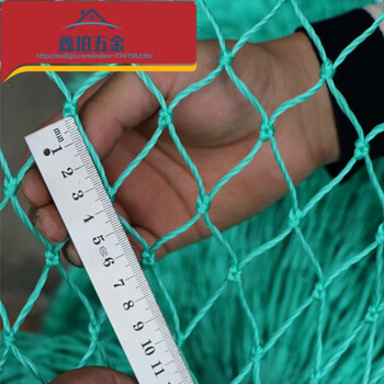 家禽养殖网养鸡网塑料尼龙网围网护栏网拦野鸡网防鸟网爬藤网 15股3