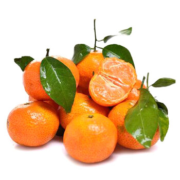 马水桔 砂糖橘 约500g/份 桔子橘子【图片 价格 品牌 报价】-京东