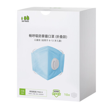 畅呼吸 防护口罩（折叠款）10枚/盒 8-12岁儿童小码浅蓝色JM02V-N95