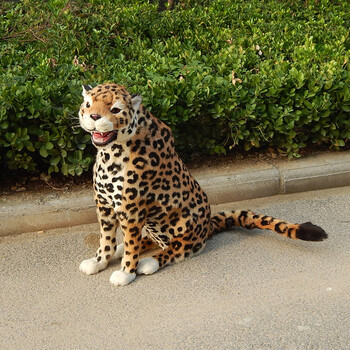 仿真动物模型仿真豹子摆件金钱豹标本皮毛动物工艺品商场活动道具 蹲