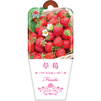 北京东升种业（DS）草莓  花卉种子  四季种植 家庭阳台 园艺休闲