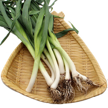 博多客 新鲜蒜苗 红皮根 青大蒜苗 农家自种 本地 紫皮土蒜苗 回锅肉