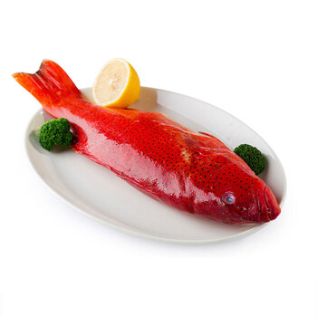 海鲜颂 冷冻东星斑 鱼 火锅食材 刺身 约600g/条