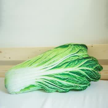 仿真抱枕毛绒玩具特大号午睡枕头沙发床头靠垫枕芯 大白菜 中号
