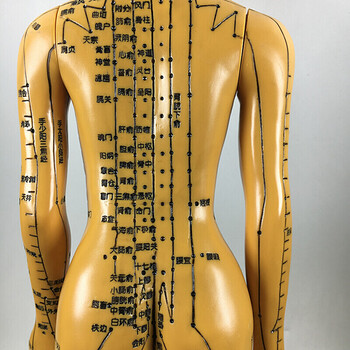 高清刻字铜色针灸人体穴位50cm男模型经络通中医美术教学男女小人 铜