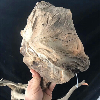 太行崖柏毛料,完整石花摆件,纹理清晰陈化崖柏根雕摆件荷木棠文玩ybk
