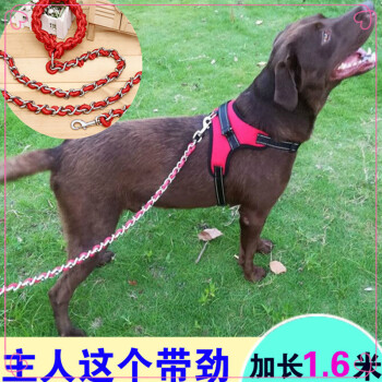 狗鏈子 中型犬 狗背心式鐵鏈項圈哈士奇遛狗繩金毛拉布拉多牽引繩