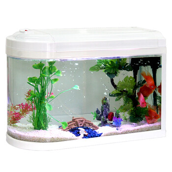 喜灏xihao包送到楼下喜灏子弹头生态鱼缸水族箱小型创意观赏玻璃金鱼