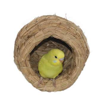 朗缤鸟繁殖箱虎皮鹦鹉牡丹文鸟笼孵化箱木屋草