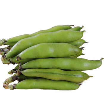 新鲜带壳蚕豆2500g 罗汉豆胡豆 生青豆荚 新鲜蔬菜